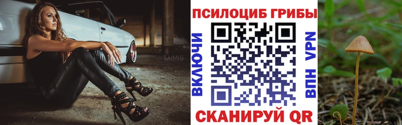 Галлюциногенные грибы ЛСД  цена наркотик  Волоколамск 